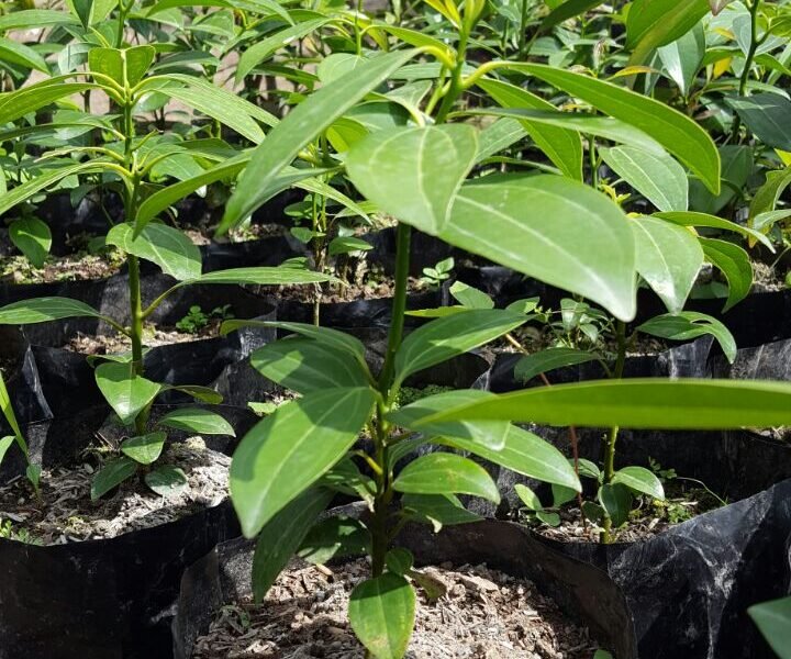 886cd9e616b17e078963ace7cc372155 886cd9e616b17e078963ace7cc372155