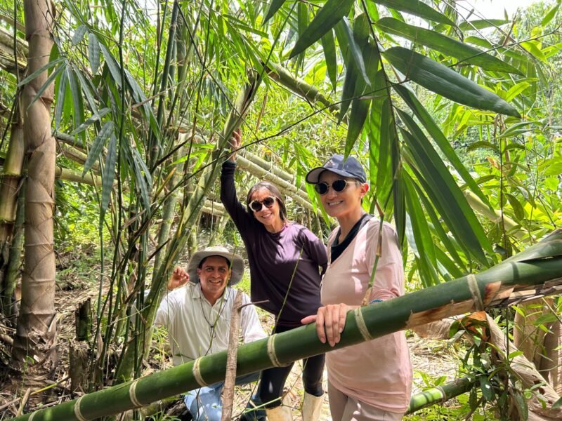 Visitantes Visitantes